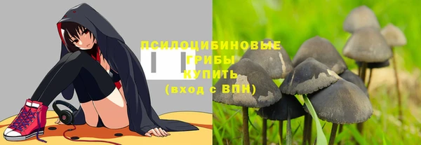 соль курить ск Лиски