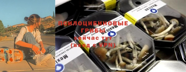 дурь Новозыбков