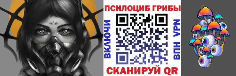 хочу наркоту  Усмань  Галлюциногенные грибы Cubensis 